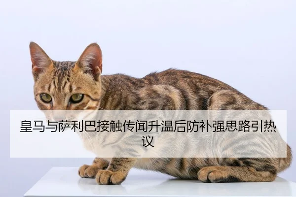 皇马与萨利巴接触传闻升温后防补强思路引热议